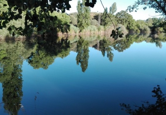 ATUREM LA INCINERADORA A JUNEDA's header image